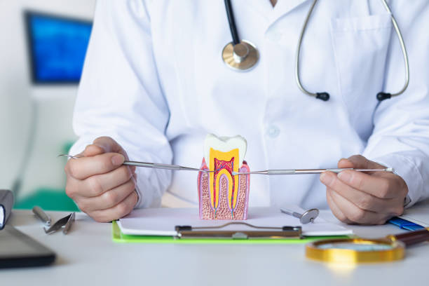 Best Emergency Tooth Extraction  in Lake Fenton, MI
